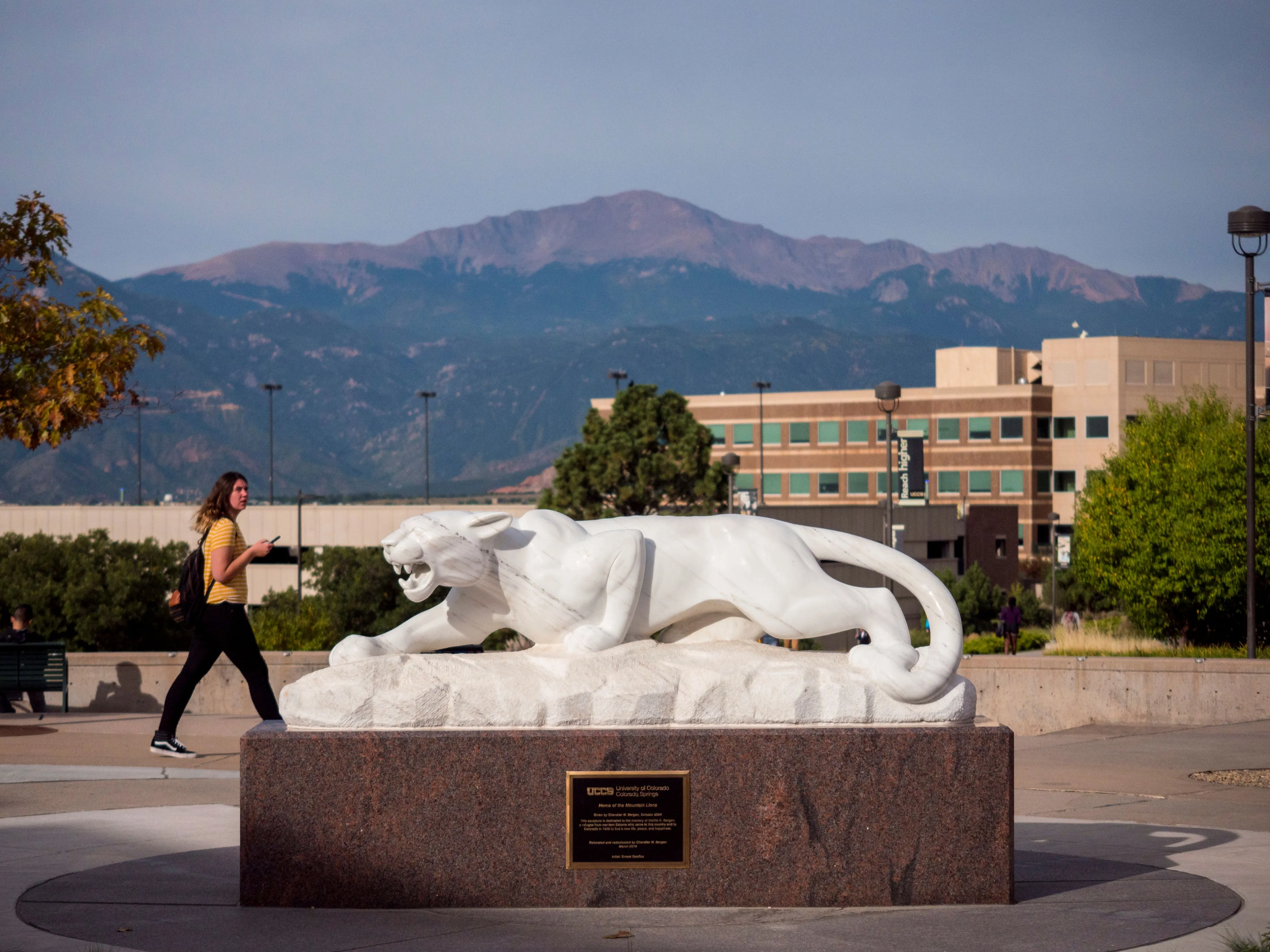 UCCS mountain lion